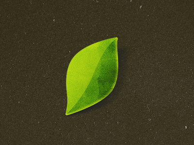 Desktop App Icon app icon leaf texture