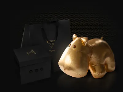 Volo branding bag branding gold identity packaging