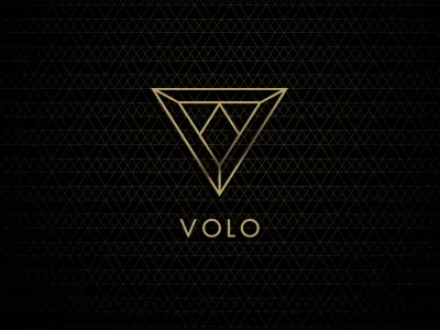 Volo branding branding gold identity logo luxury