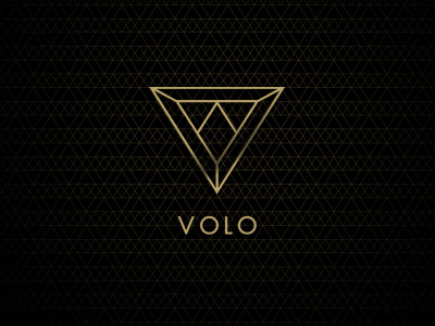 Volo branding branding gold identity logo luxury