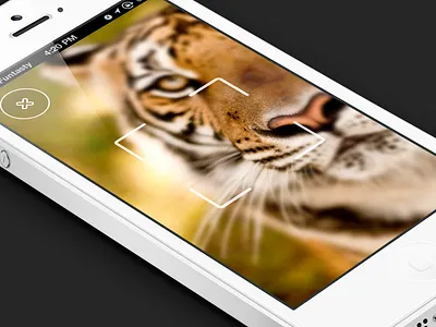 Meow app camera cat design ios iphone mobile qr scan the funtasty