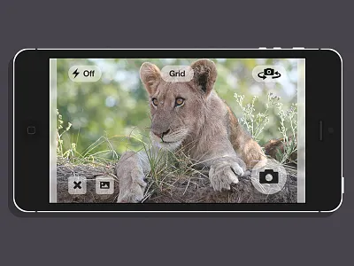 iPhone 5 Photo Capture app apple capture image ios iphone mobile photo photography ui ux video