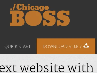 Chicago Boss