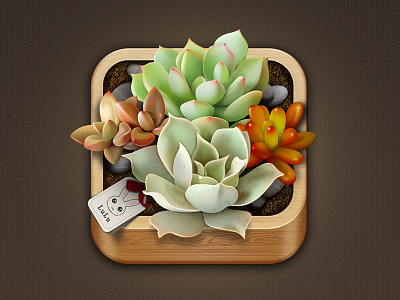 Succulent Plants icon ui