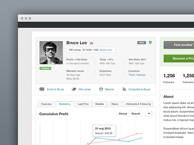 Profil panel charts dashboard graph green grey header panel profil sidebar statistics ui ux