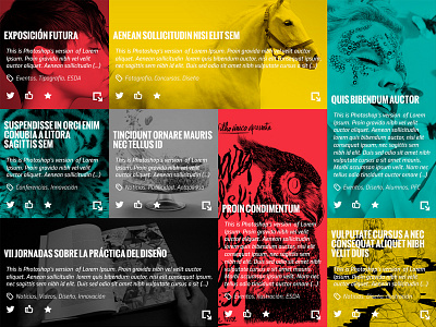 Design School Website v0.1 color design flat school ui web wip