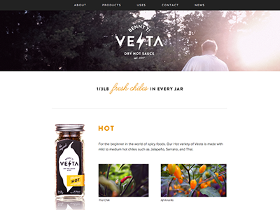 Vesta Site branding website