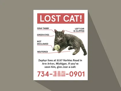 Cat Poster with Loooong Shaadow cat lost poster sadtimes