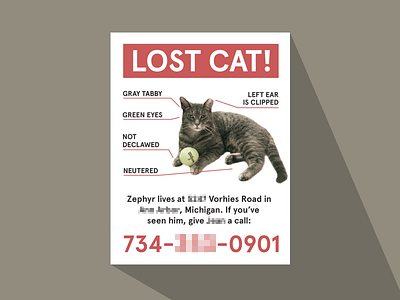 Cat Poster with Loooong Shaadow cat lost poster sadtimes