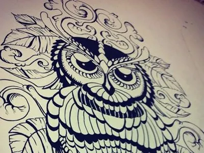 owl