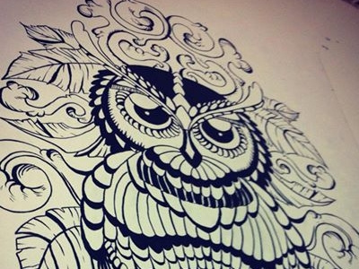 owl