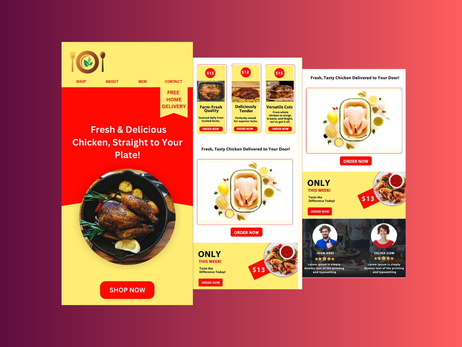 Example of Email Marketing Expert Klaviyo&Mailchimp