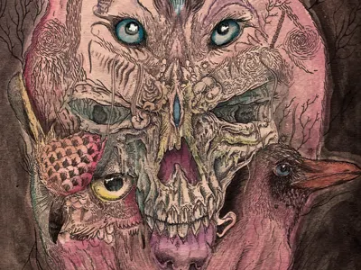 Four Kingdoms bird drawing illustration owl sketch watercolor wolf