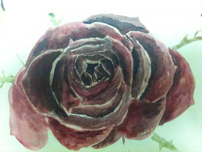 Ink and water colour Rose and colour ink rose sketch water