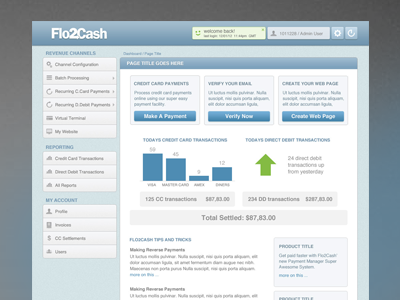 Payment System Redesign admin anotherbluesite dashboard web app