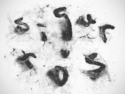 Sigur Rós "Splash" band band merch logo merchandise sigur ros sigur rós splash t shirt typography valtari