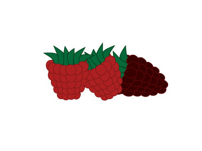 Berries berries fruit
