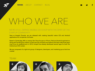 Intrepid Web Team