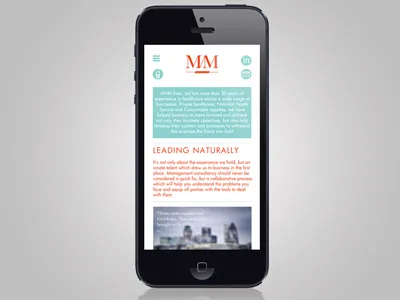 Management Consultancy - Mobile site branding identity mobile reactive web