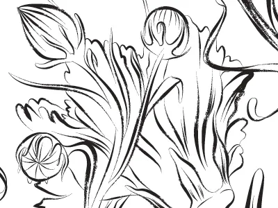 Linework for a Counter Culture Editorial Piece buds dry brush flowers illustration illustrator poppies vector