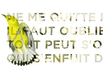 Ne Me Quitte Pas typography