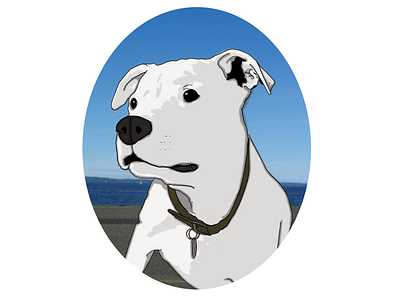 Pet Portrait dog illustration pit bull portrait