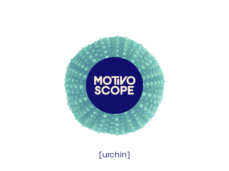 Dynamic Logo [GIF] brand dynamic dynamic branding identity logo