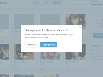 Expiration for.. blue button date dropdown expire files grid hours modal product ui ux