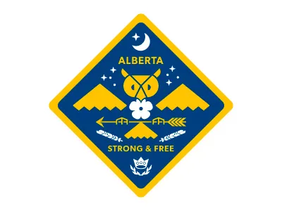 Strong and Free arrow canada feather flower moon owl patch rose stars