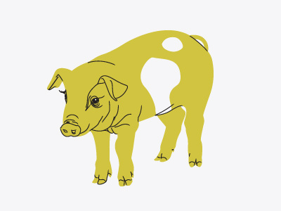 Farm & Fable 1950s 50s illustration pattern pig