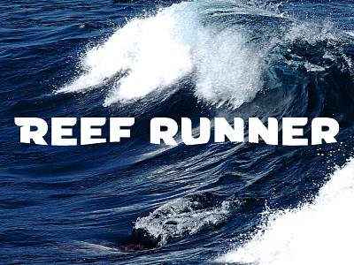 Reef Runner Gear aqua black blue custom fish gear reef sport typography water yellow