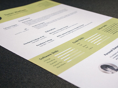 Completed CV / Resume bar branding cv experience graph personal resume skills