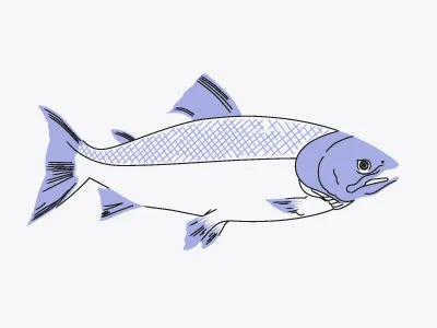 Farm & Fable 1950s 50s fish illustration pattern salmon