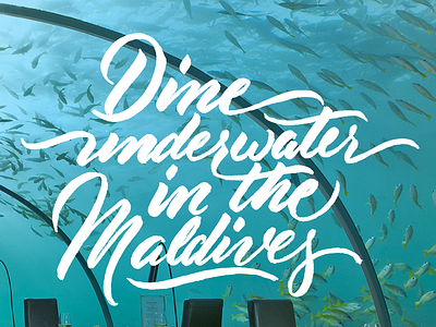 Maldives | Venture #BucketList advertising bucketlist capital one ink inverted lettering script series type typography venture card