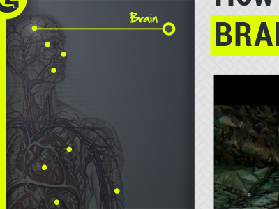 Anatomy Navigation c4 chartreuse ipad app navigation slate