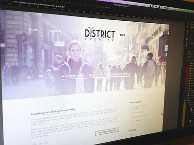 Blog blog district eyewear fashion flat glasses hipster responsive website