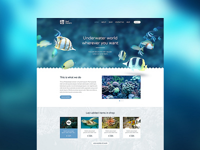 Reef masters reef responsive site underwater web