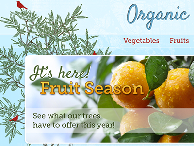 Organic Farms blue colorful farms fruit green illustration organic