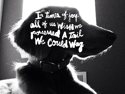 In times of joy... brush script cursive dogs hand lettering script sumi