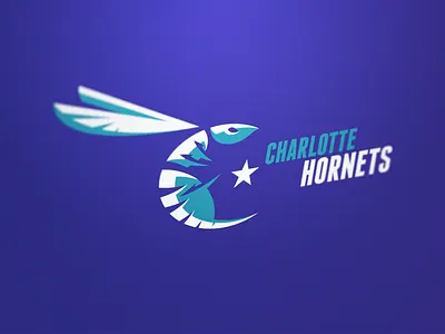 Hornets basketball charlotte nba