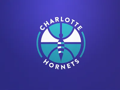 Hornets 2 basketball charlotte nba