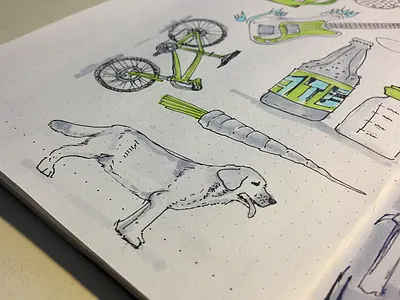 Lab Dog Sketch sketch