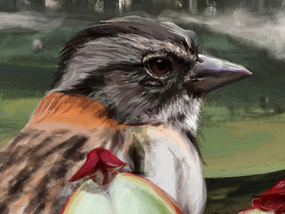 Ayapaina Tours C.A. Roraima Illustration digital painting roraima turism venezuela