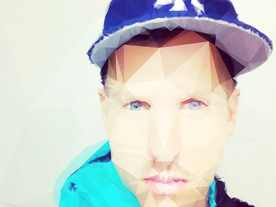 Low Poly - Bradford cap fab low poly manipulation poly portrait triangulation