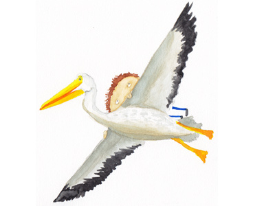 Soaring above the clouds flying illustration pelican picture book watercolour