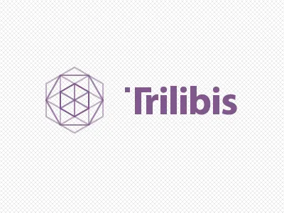 Trilibis Logo geometric logo logotype pattern tesselation