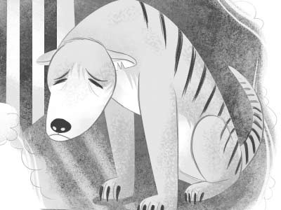 Thylacine illustration tasmanian tiger thylacine