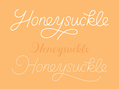 More Honey Iterations branding identity lettering logo logotype script