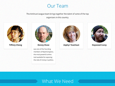 Our Team bio team website