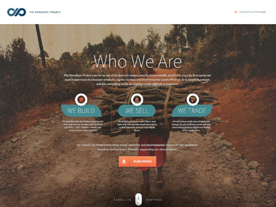 The Paradigm Project - Homepage Takeover